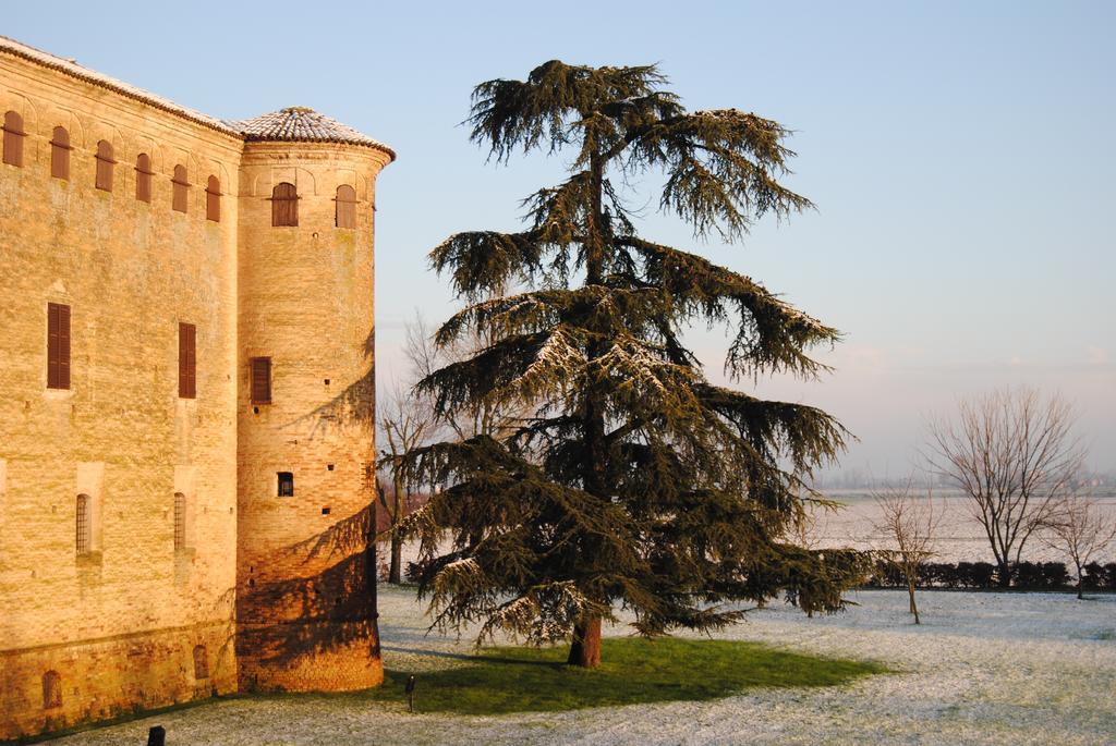 Locanda Del Re Guerriero San Pietro in Cerro Номер фото